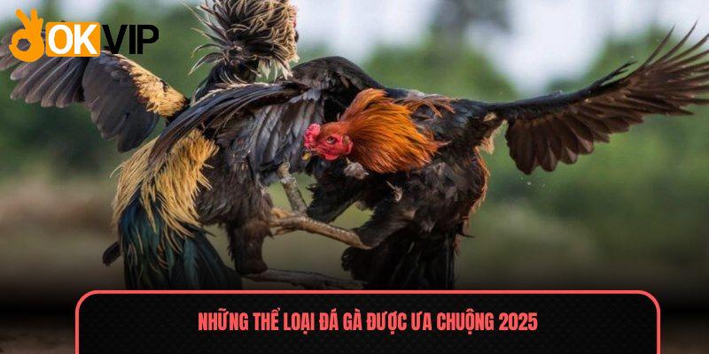 Đá Gà - Màn So Tài Đỉnh Cao, Thắng Lớn Mỗi Ngày 2025 3 Những thể loại Đá gà được ưa chuộng 2025